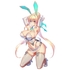 Claris L. Ripstop