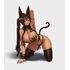 Anubis: Casino Ver.