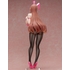 Minako Sanada Bunny Ver.