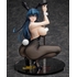 Asagi Igawa Bunny Ver.