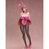 Minako Sanada Bunny Ver.